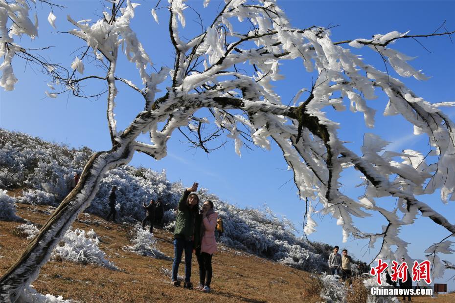 老师让我吃她胸 摸她奶樱花