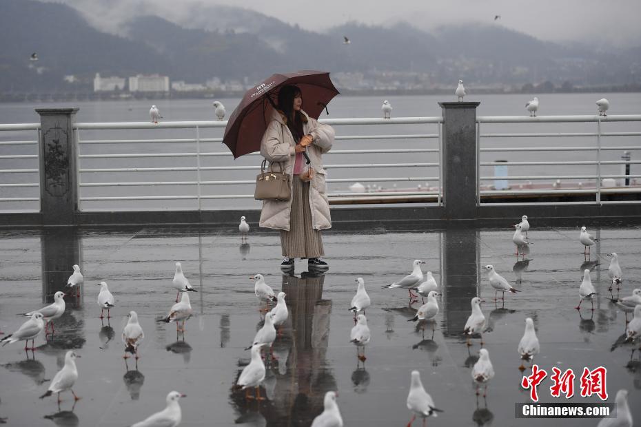 欧美激情黑人巨大性