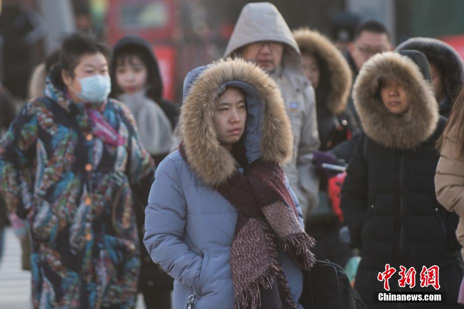 公牛与女人一级毛