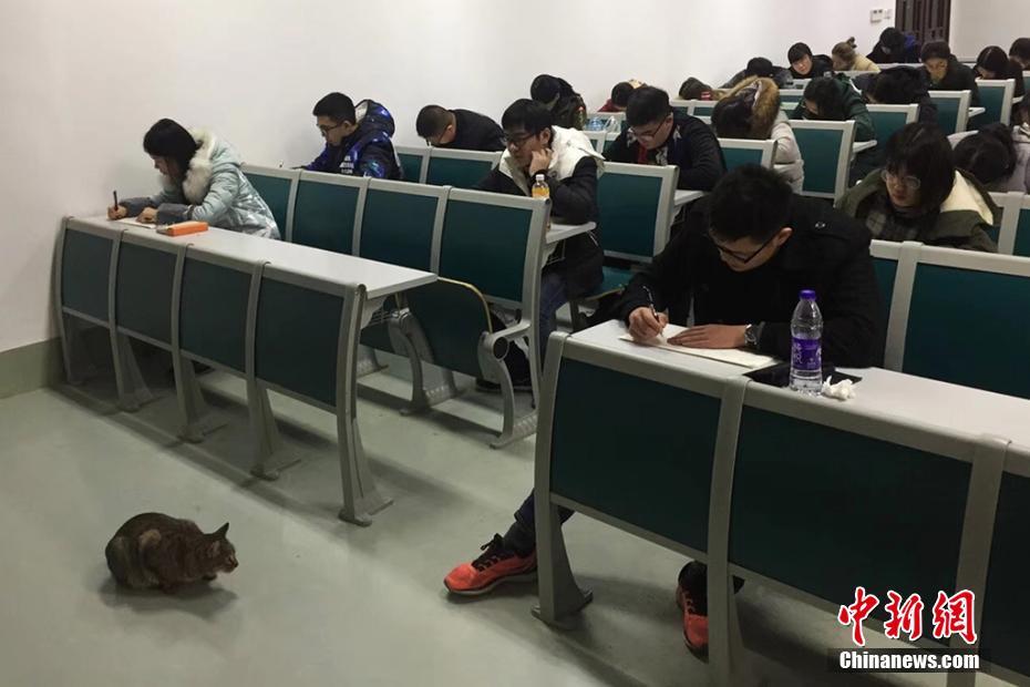 午夜成人性做爰A片无码潘金莲
