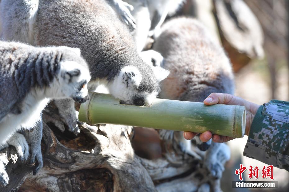 全球 成人 电影