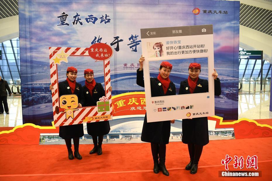 欧美人与禽动ZoZ0
