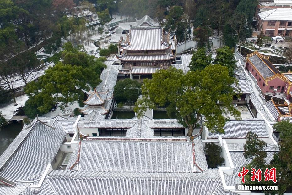 抖音风反差婊弹力摇 混剪