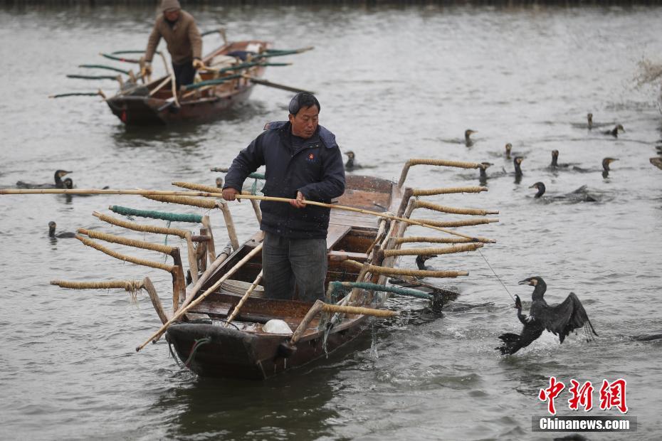 松下纱荣子肉体奉公在线视频