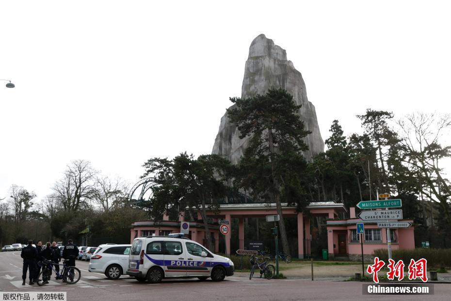 免费一级无码婬中文字幕