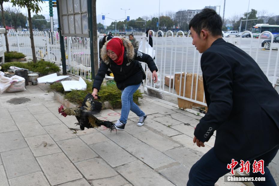 黄片免费看免费下载