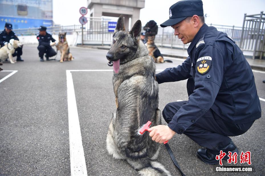 泰国黄色片直播