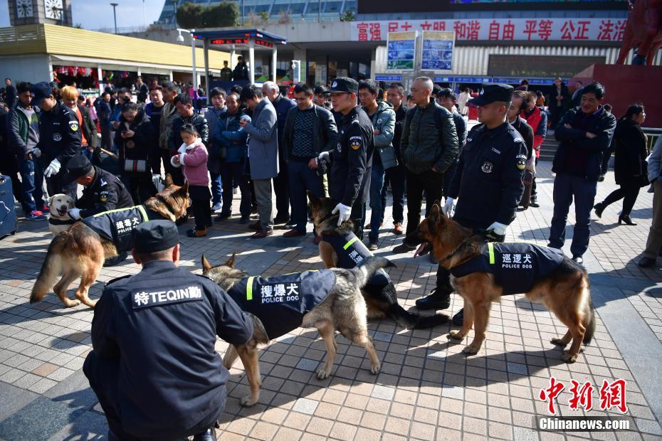 18  脱内衣 动漫网站