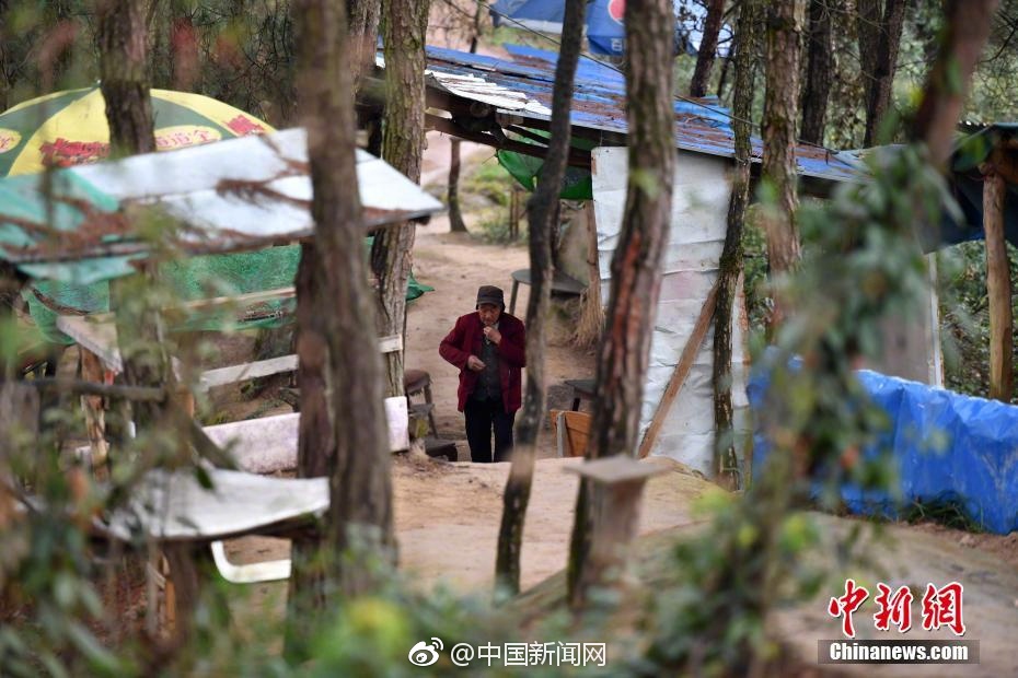 欧美乱理水蜜桃
