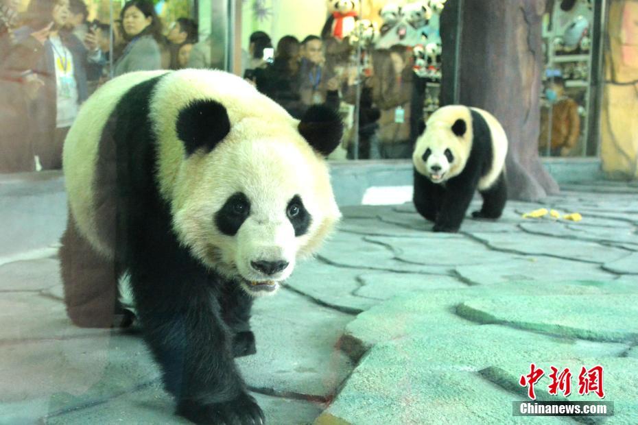 www.操逼