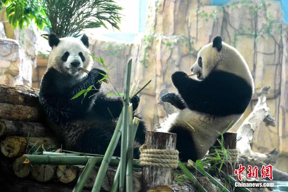 做爱 三 级 片