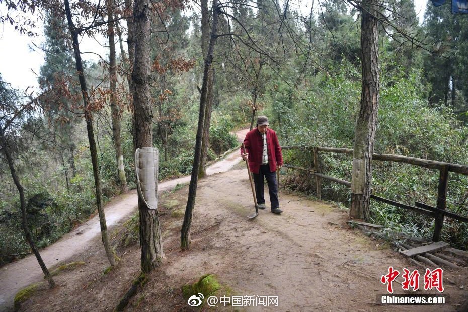 足控网站