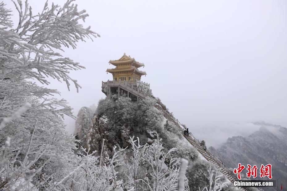 苍井空无码五十分钟