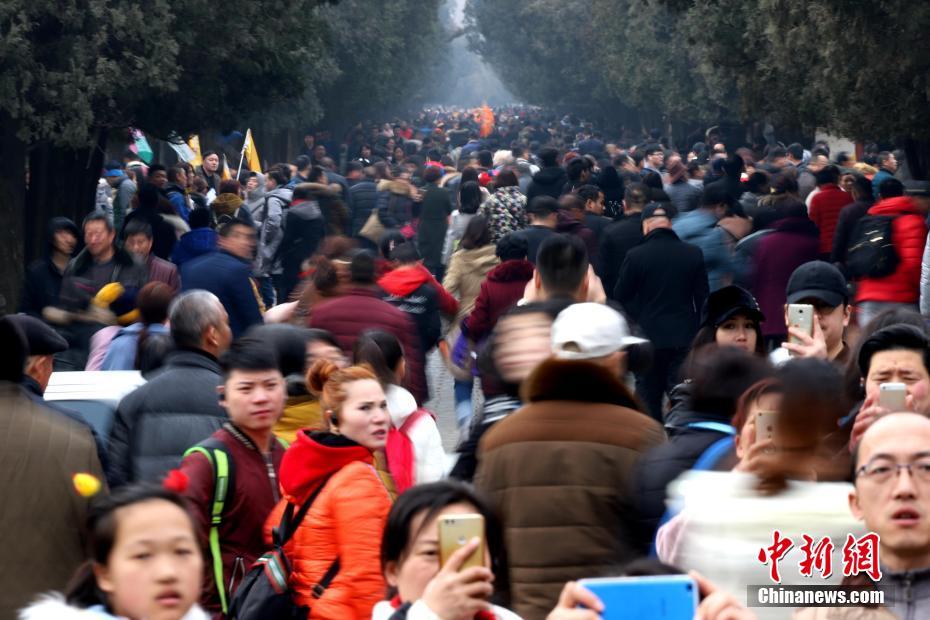 黄色视频网络站在线观看入口