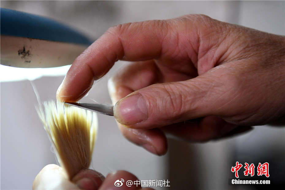 哦罗师人口(3)