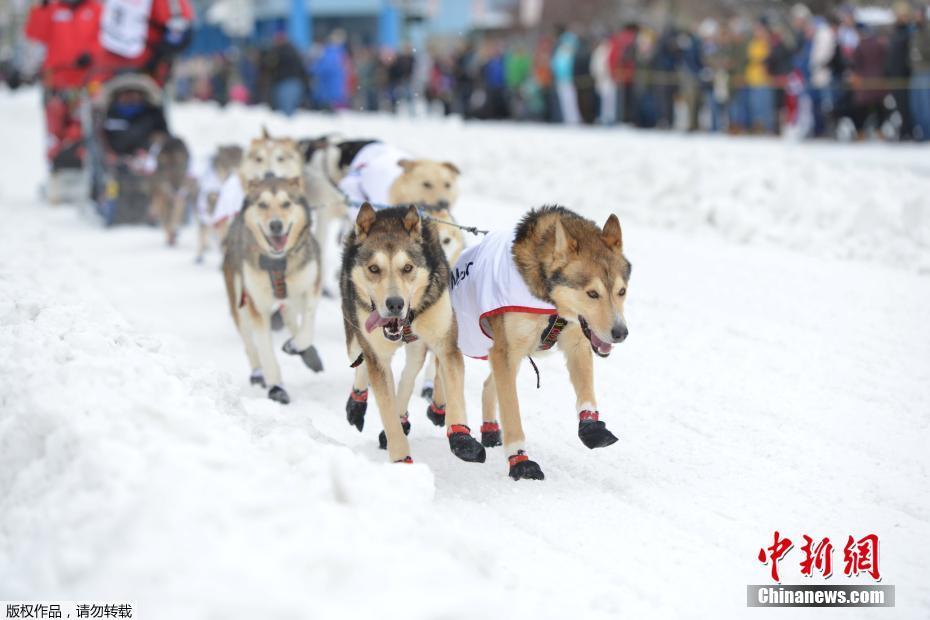 丁香五月综合