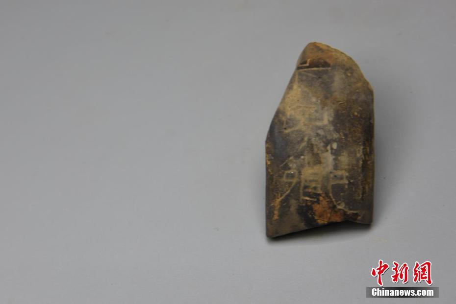 无码Av网盘自取