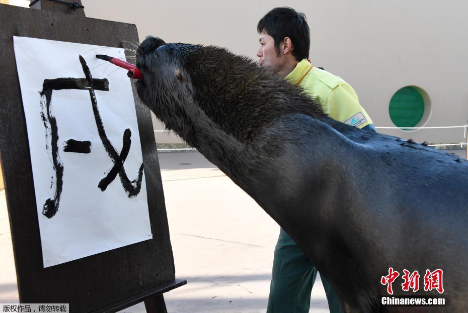 陳庭