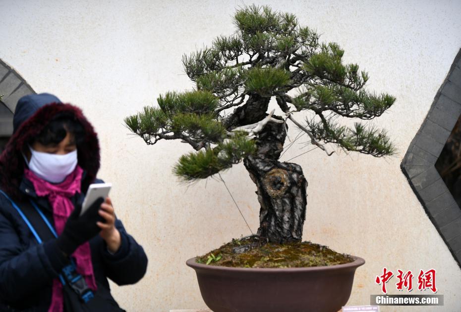 蔡依林拍黄色片三级片