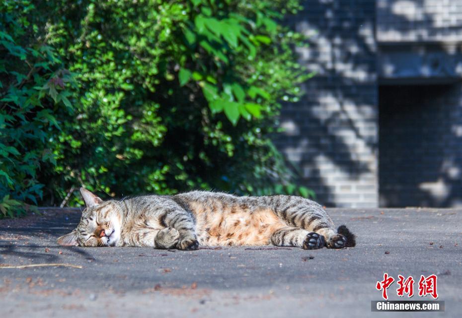 保險套破掉
