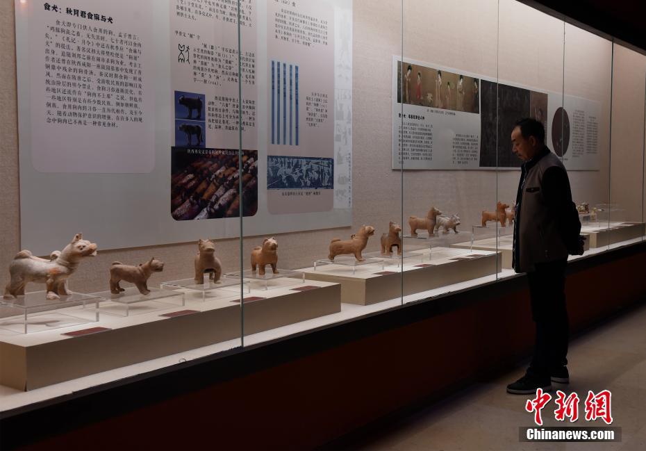 中国一级黄色大片