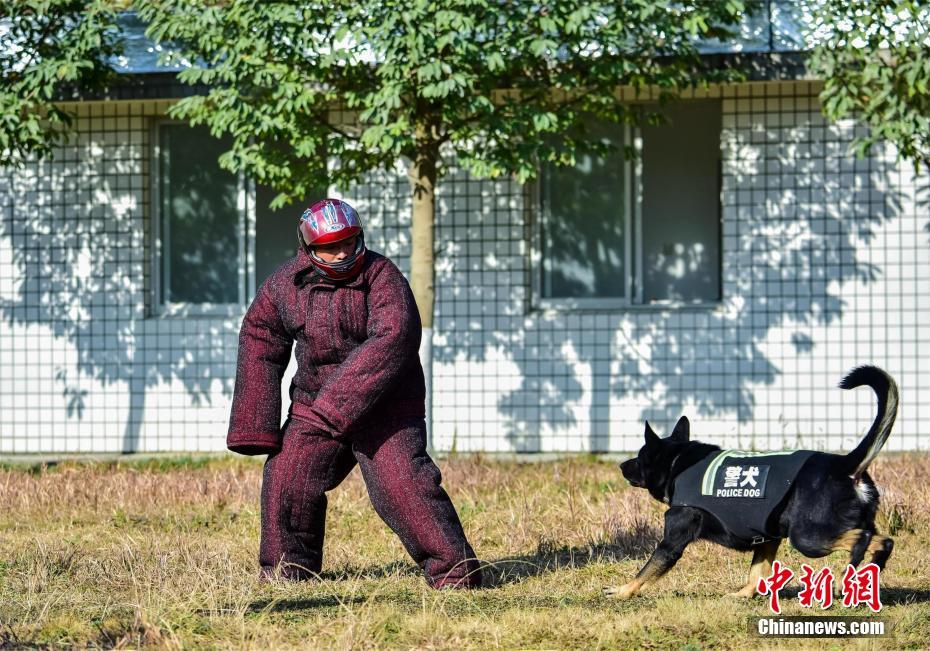中國殭屍