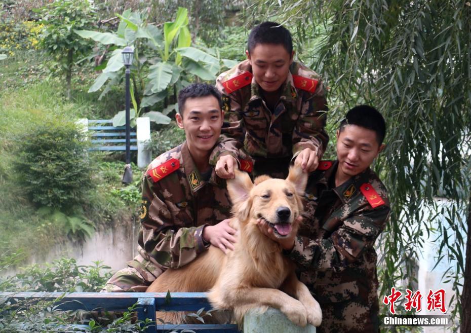 暗黑爆料在线观看免费高清
