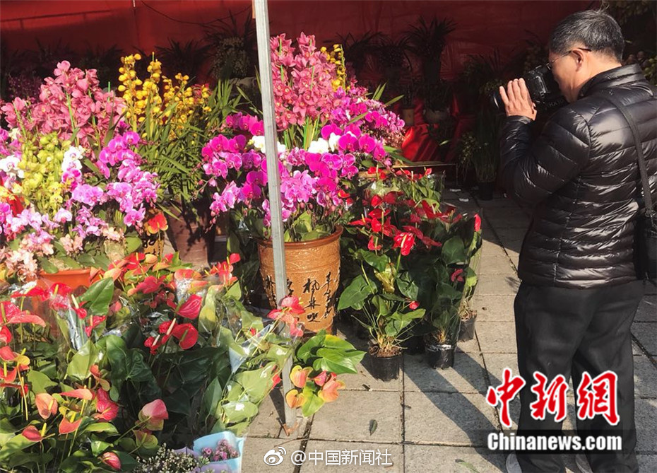 Free性丰满白嫩白嫩的Hd
