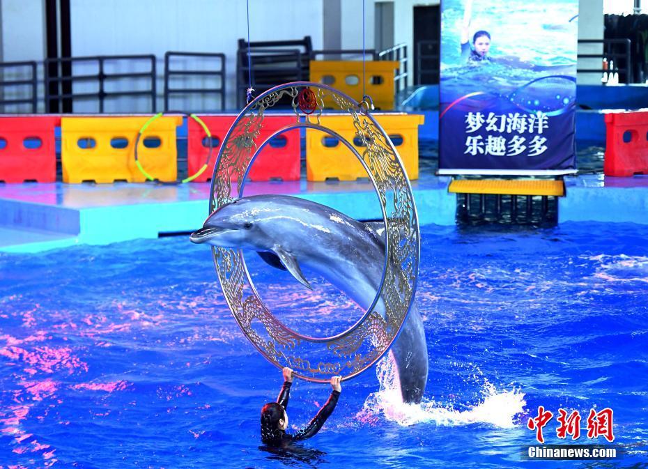 激烈抽插