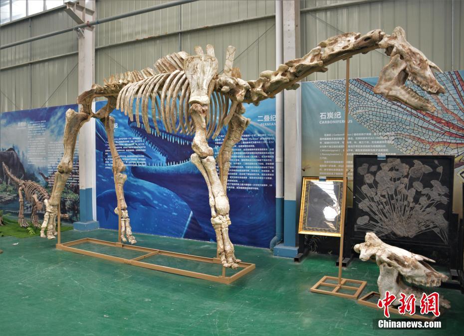 东京食尸鬼