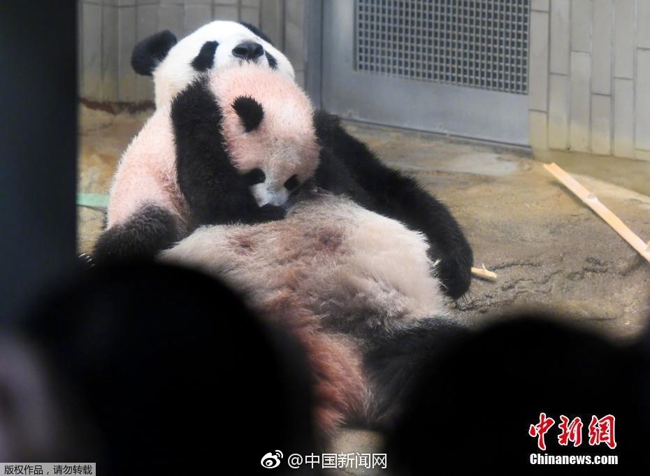 黄色视频在线观看黄色网站在线播放黄色