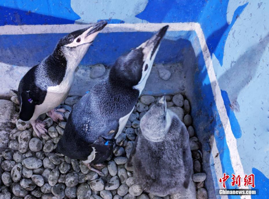 性爱大学生在线