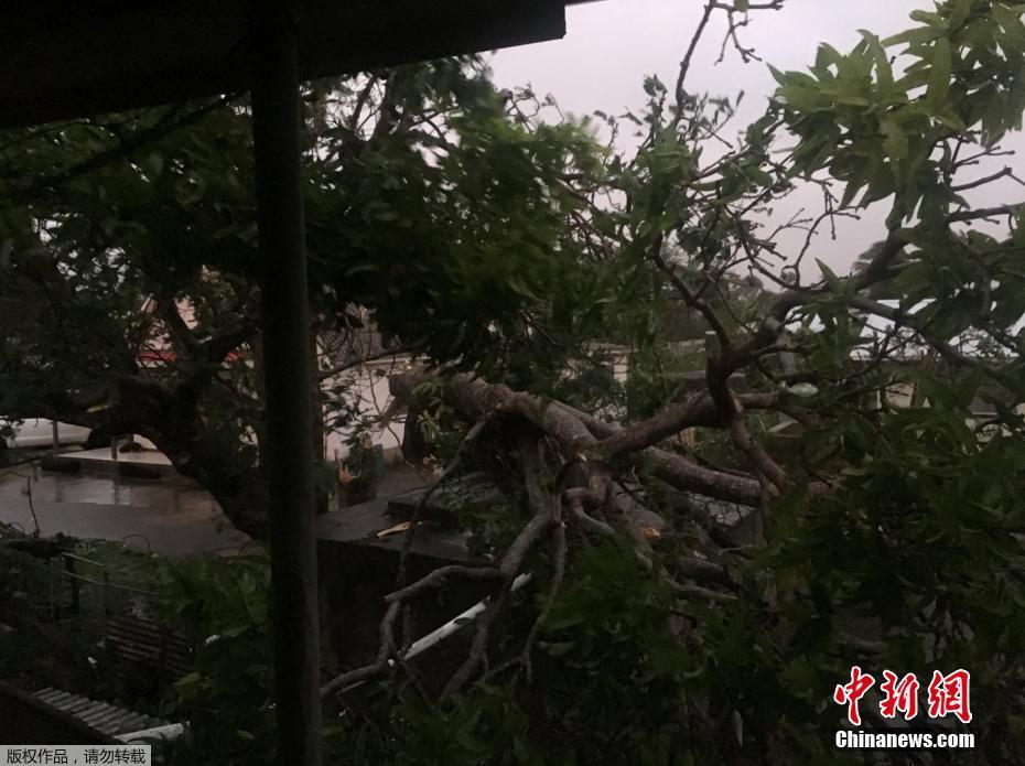 性生活在线永久免费视频