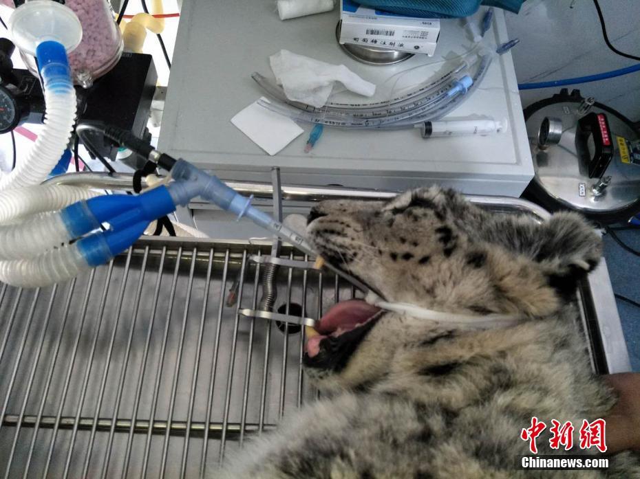 人妻熟妇无码精品视频在线