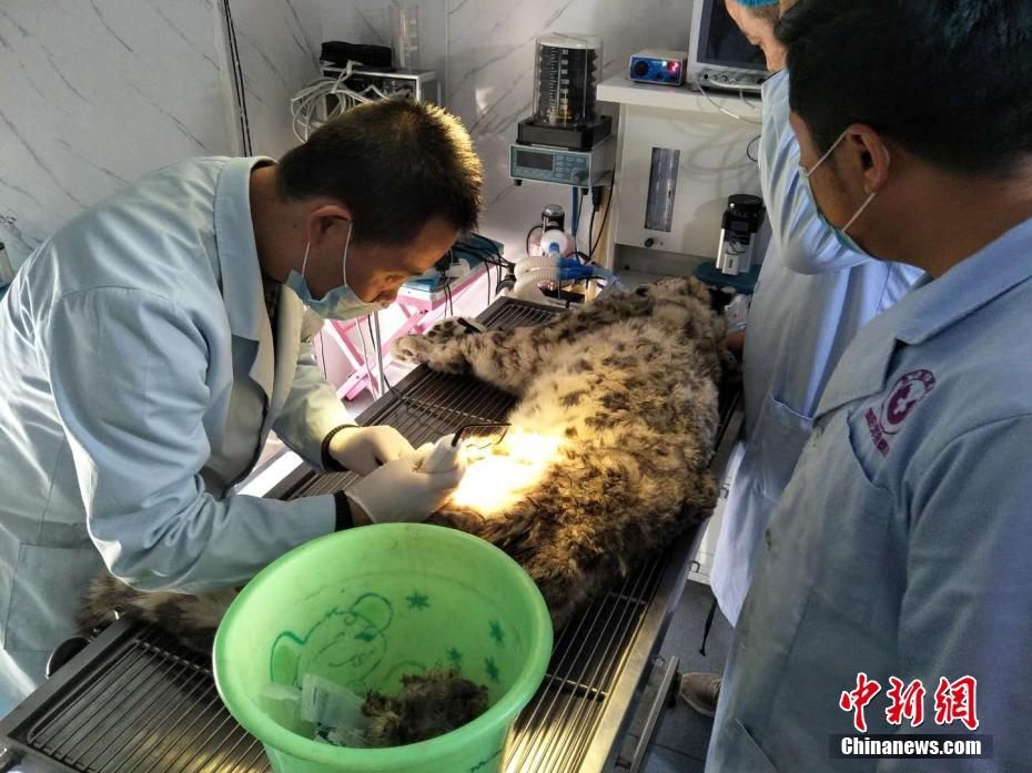 口述被两个男人3p爽