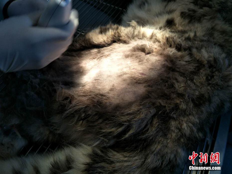 台湾黄色录像三级片免费
