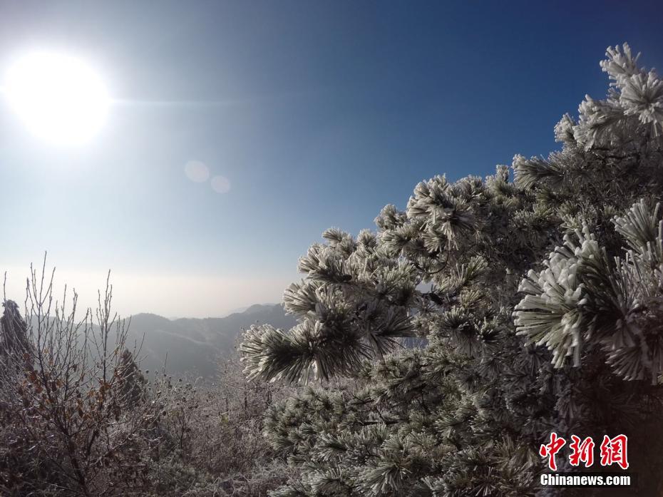 太九ti9最新