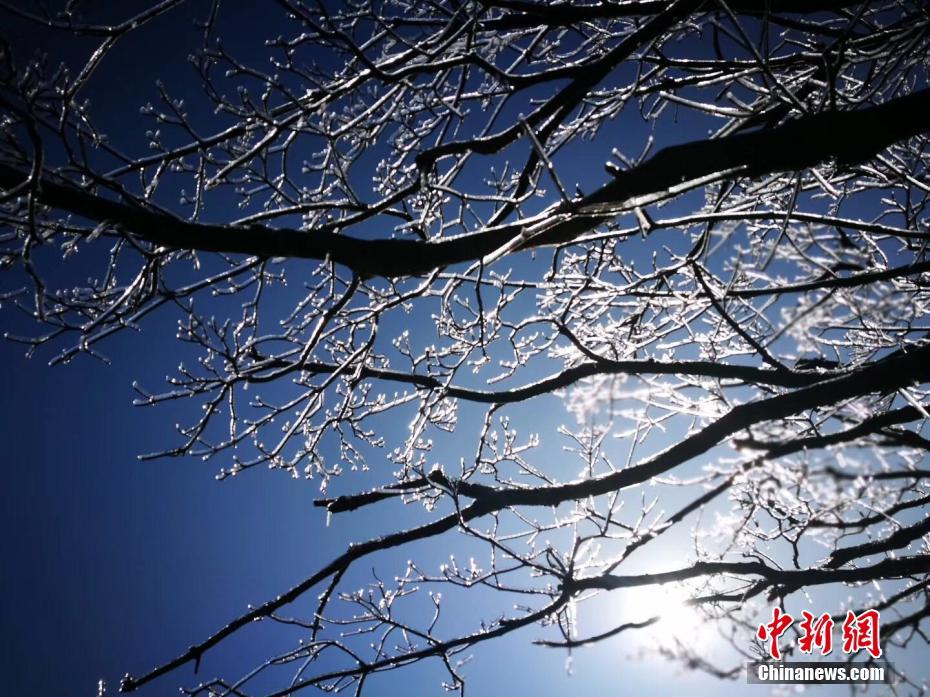 十八摸软件