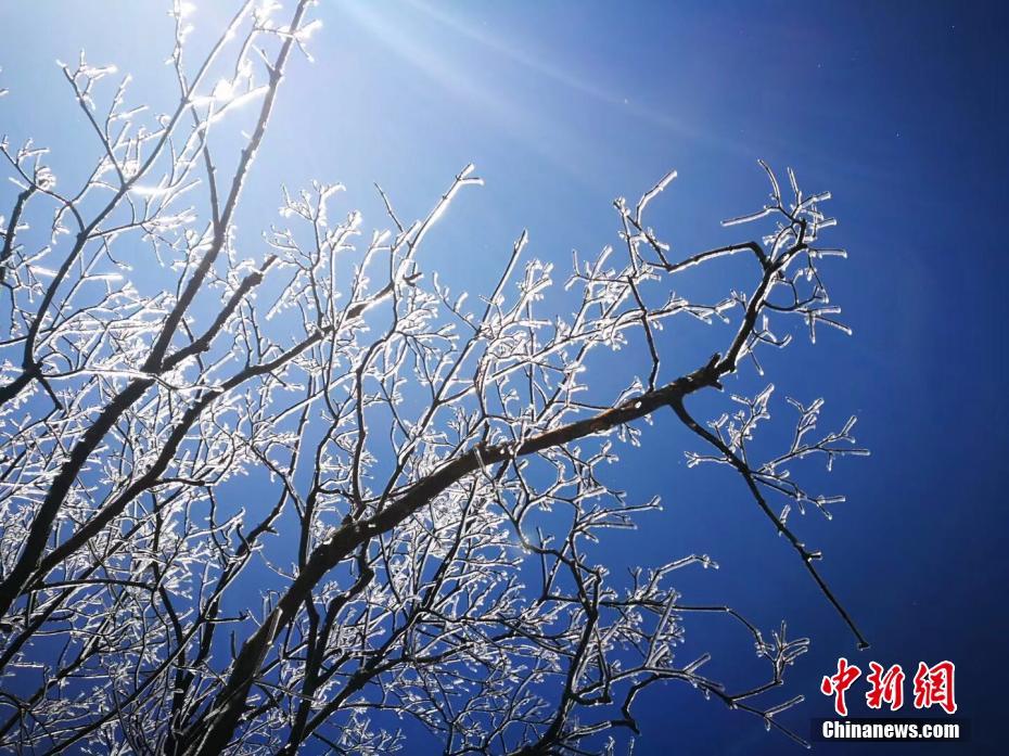 最大 中文 成人 网