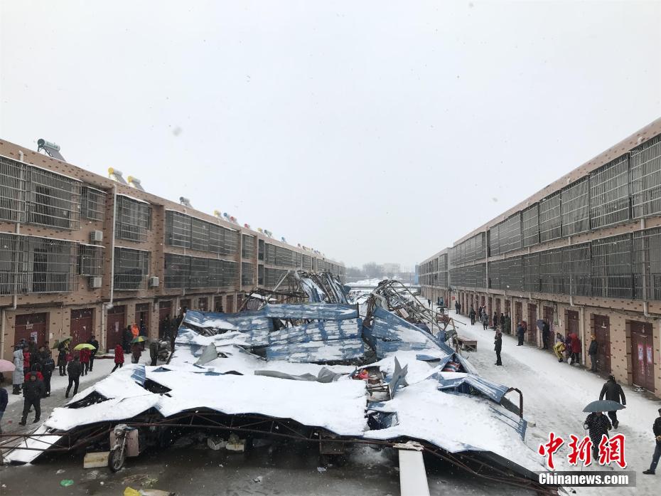 国产伦理精品一区二区三区观看体验
