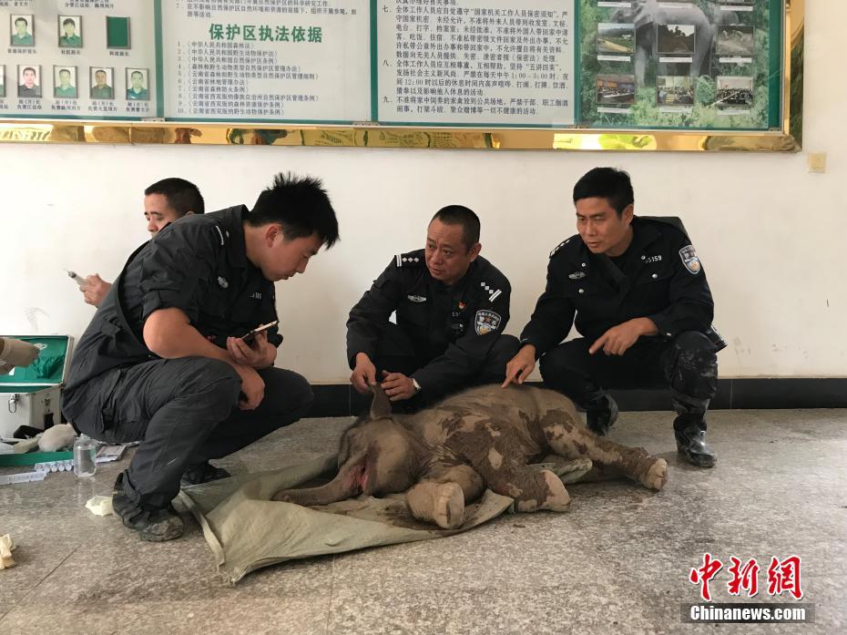 中国老女人日逼