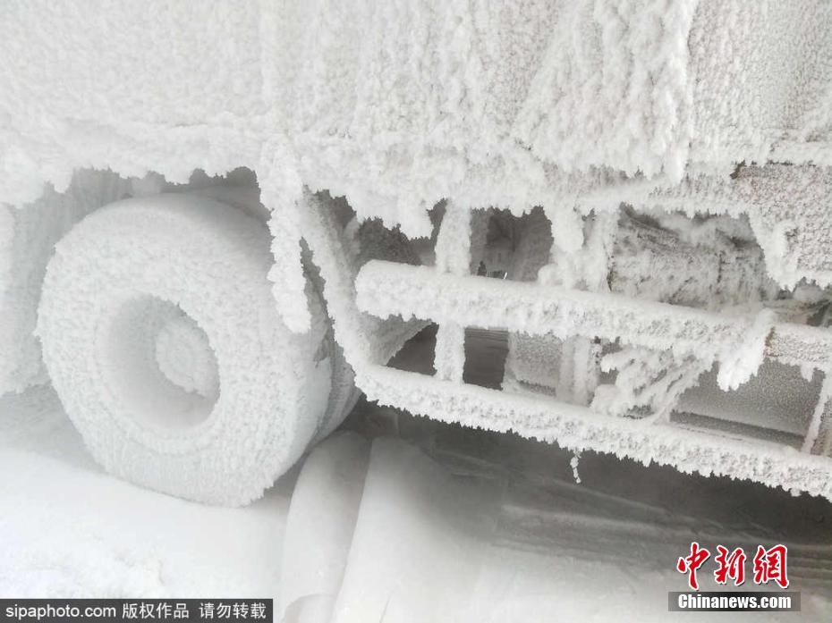 色情 电影 直播
