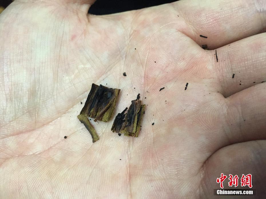 黄色网站性爱网站
