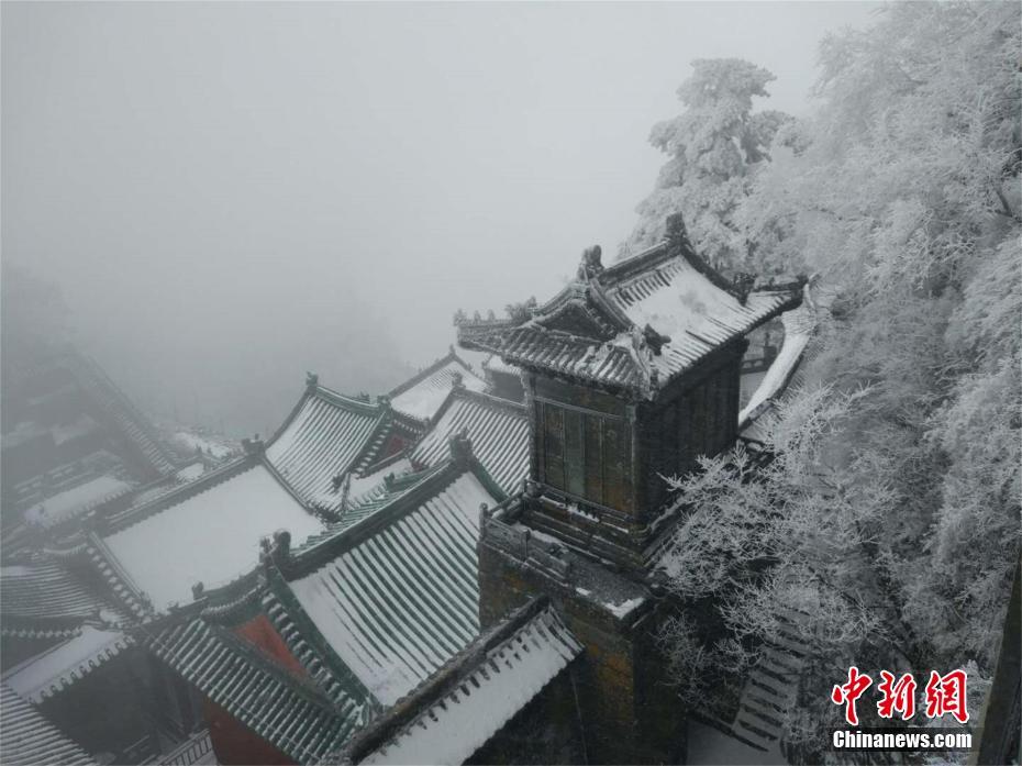 亚洲激情插逼高朝视频
