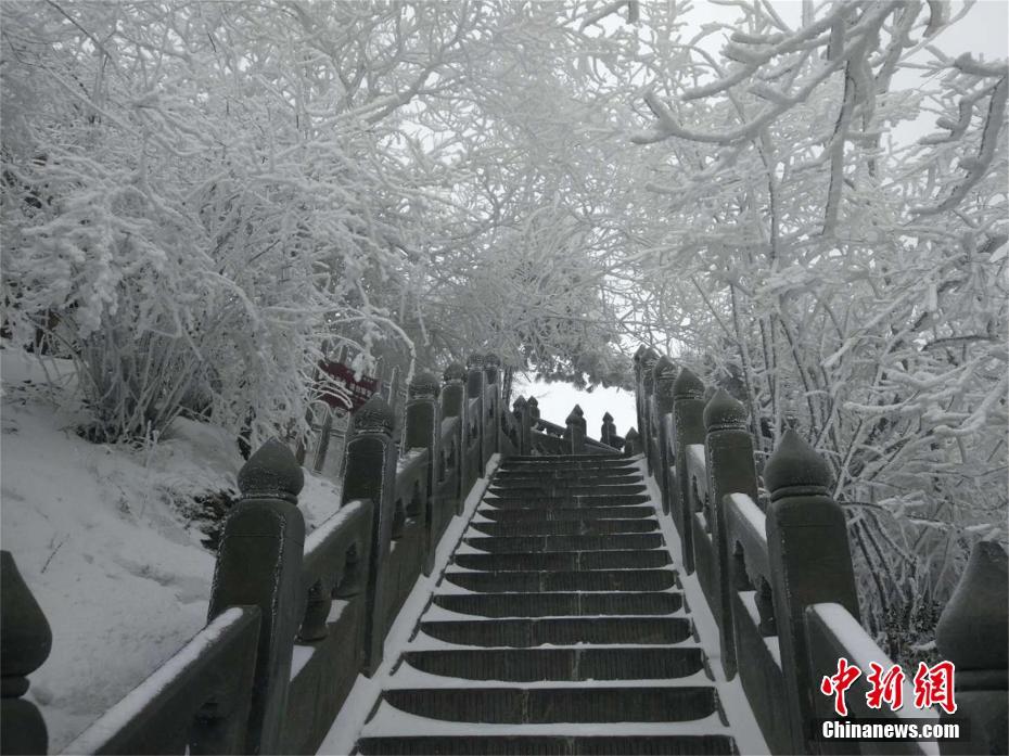 爸爸叫我cod妈妈小新外婆的故事