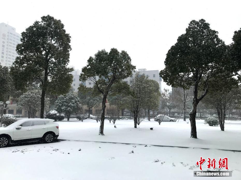 操老师的逼和老师