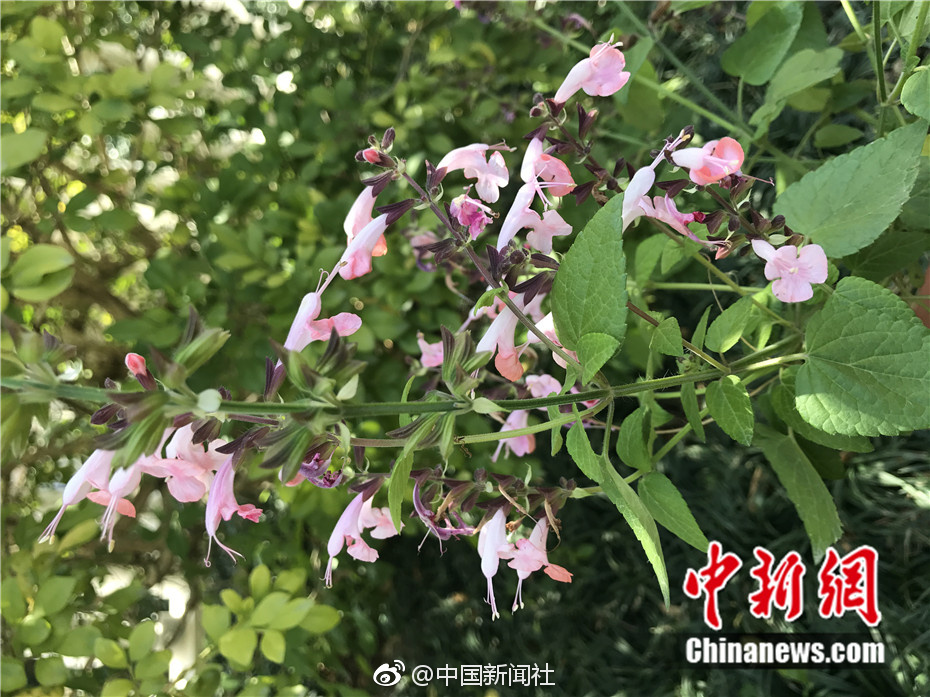 美国毛片基地