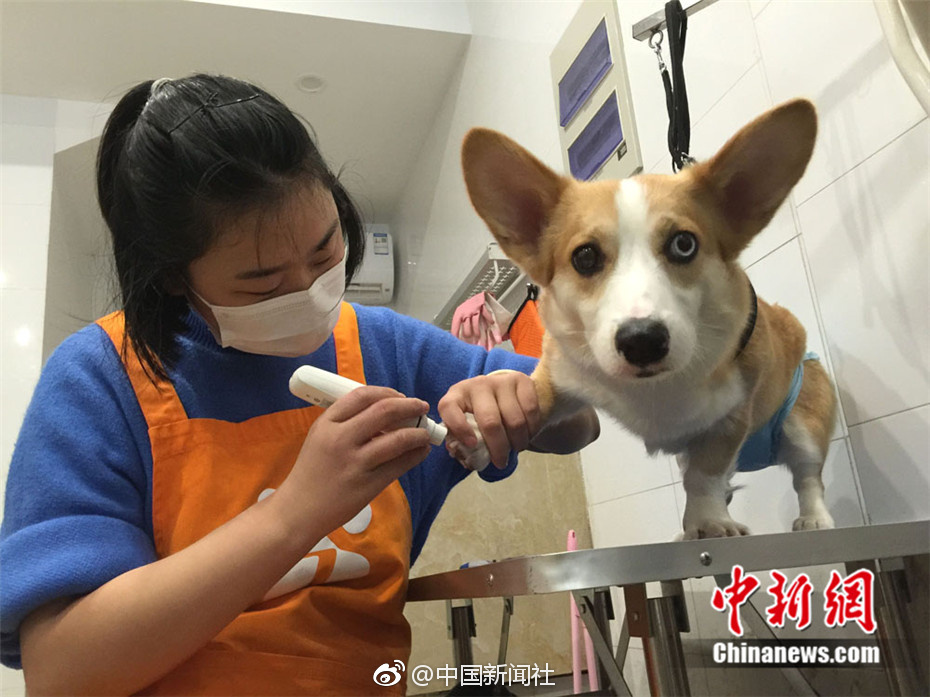 特大黑人巨交性Xxxx
