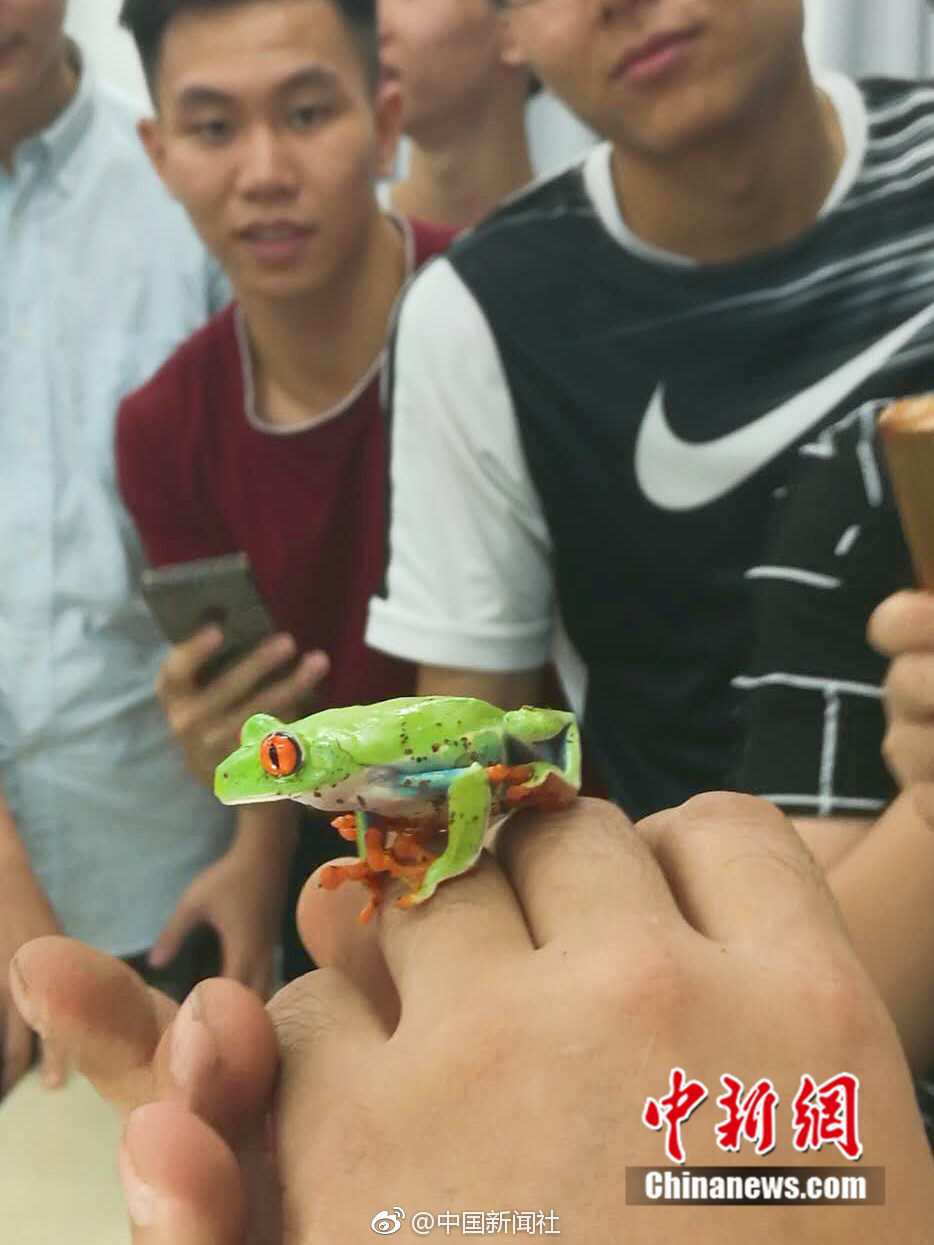 免费 做爱 影片