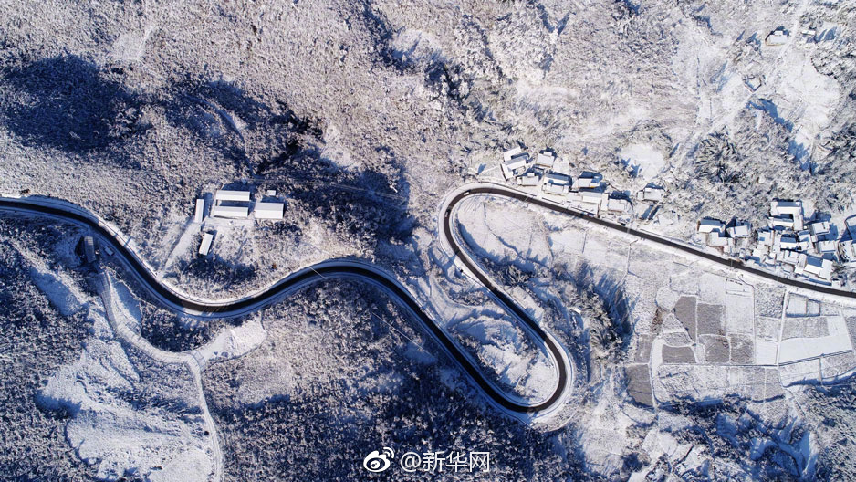 午夜免费视频